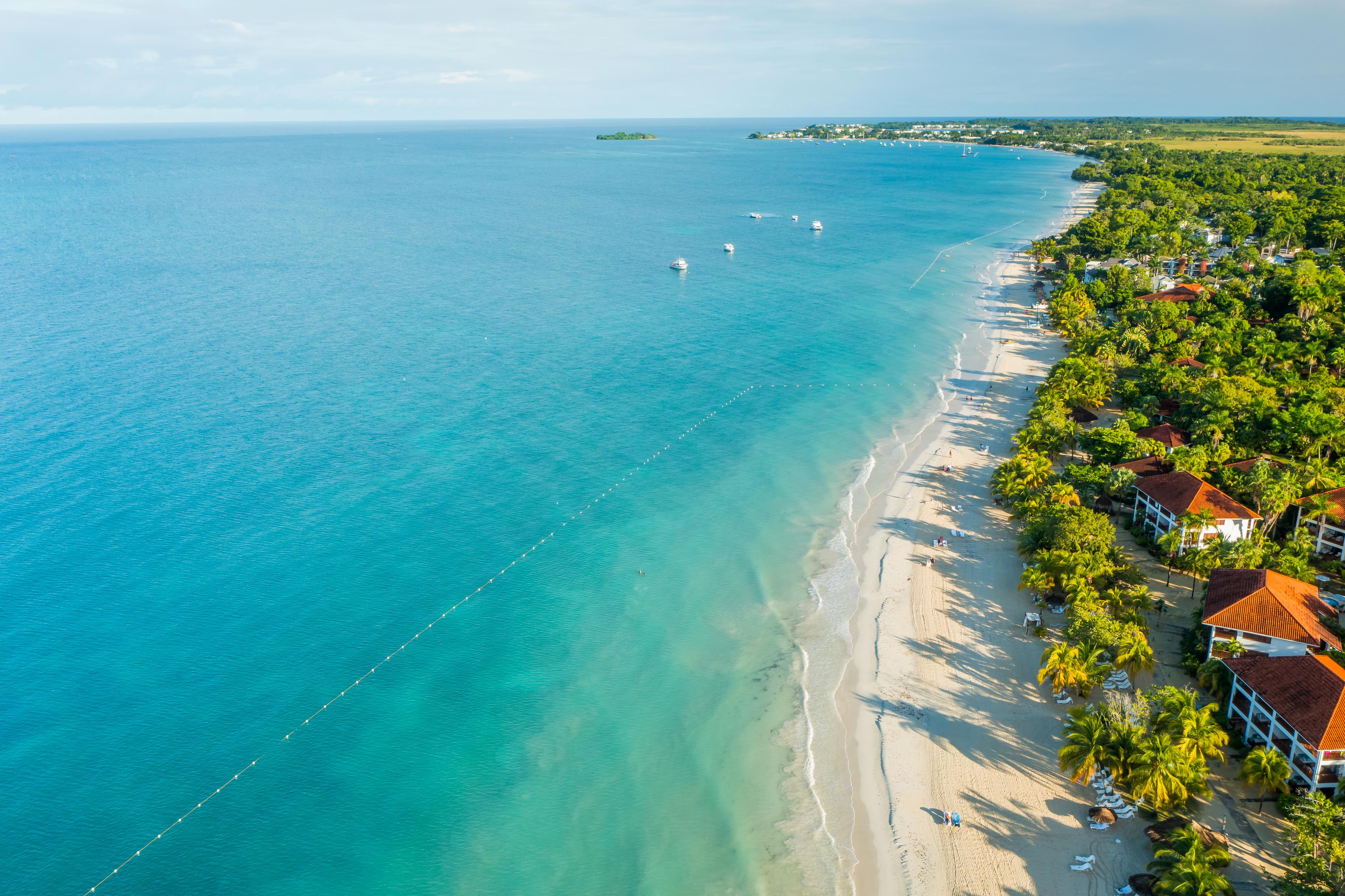 Bureau de tourisme de la Jamaïque background