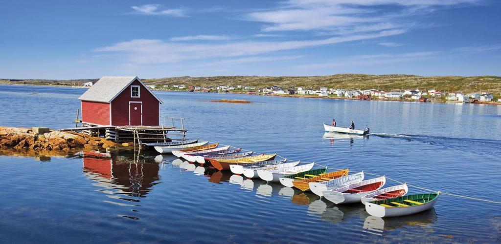 Circle Newfoundland - background banner